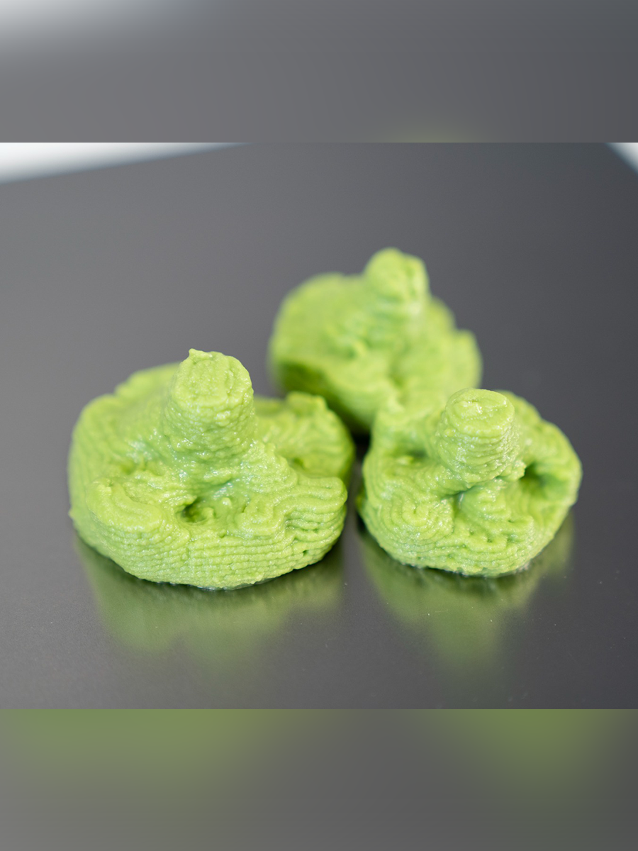 Fresh 3D-printed broccoli from broccoli purée – healthy showcase made with the Felix 3D food printer