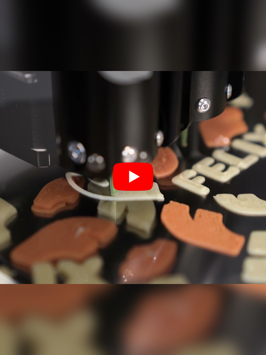 FELIX Food 1.6 - Switch Head